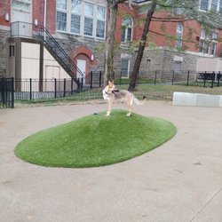 Westwood Town Hall dog park - turf hill near entry