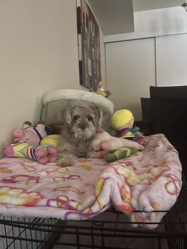 THE DIVISION OF VITAL RECORDS Updated September 2024 24 Reviews