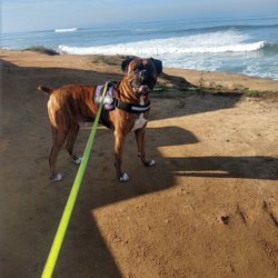 Surfside Animal Hospital