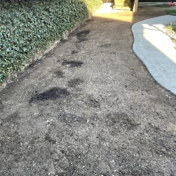 On Point Landscaping Services - Sod,yard, before and after - Landscaping Near Me
