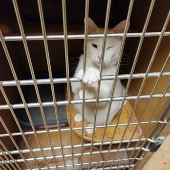 PetSmart - Pet Groomers Near Me - Orland Hills, Illinois PetSmart - Pet Groomers Near Me - Orland Hills, Illinois