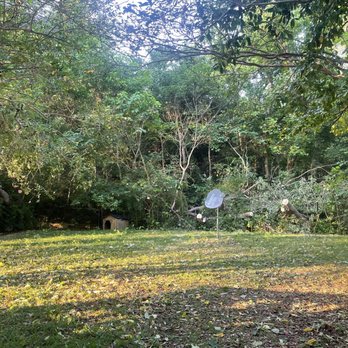 Thomas Outdoor Service - Post Clean-Up on Fallen Tree - Pressure Washers Near Me Thomas Outdoor Service - Post Clean-Up on Fallen Tree - Pressure Washers Near Me
