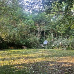 Thomas Outdoor Service - Post Clean-Up on Fallen Tree