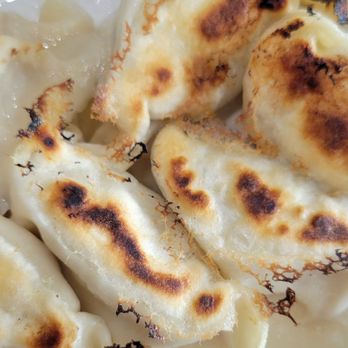 Dumpling Factory - Pan fried dumplings $13.99 for 12 - pork and Napa cabbage and green onion 2/17/25 - Chinese Near Me - Honolulu, Hawaii
