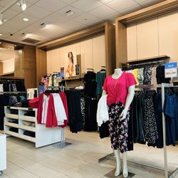 Lane Bryant - 2/19/26 Well dressed mannequins