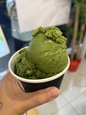 Aoko Matcha by null