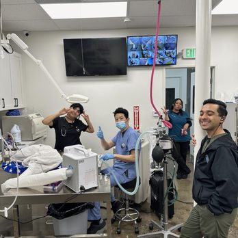 Lee Animal Hospital - Veterinarians Near Me - Orange, California Lee Animal Hospital - Veterinarians Near Me - Orange, California