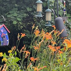 Clipper City Rail Trail & Harborwalk - Bird feeders in the Butterfly garden at intersection of rail trail and Parker Street