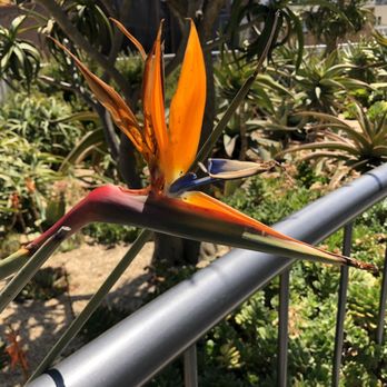Salesforce Park - Salesforce Park - Parks Near Me - San Francisco, California