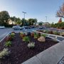 Photo of Parking Lot D