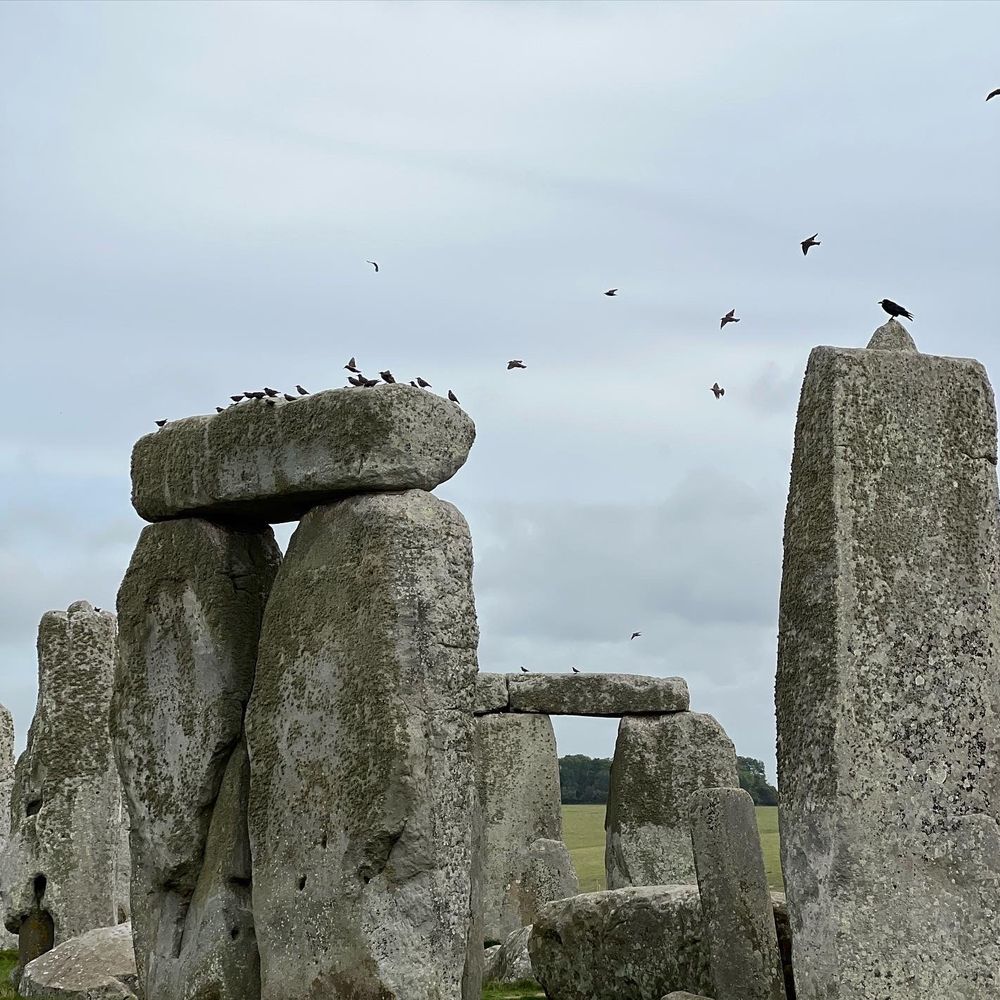 The English Bus - Stonehenge - Bus Tours Near Me - London, XGL The English Bus - Stonehenge - Bus Tours Near Me - London, XGL