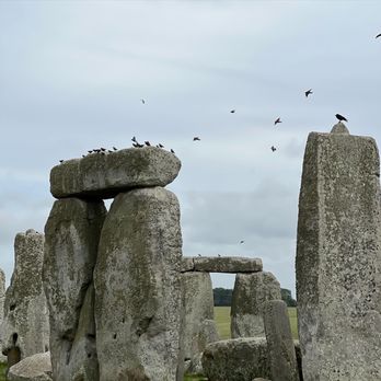 The English Bus - Stonehenge - Bus Tours Near Me - London, XGL The English Bus - Stonehenge - Bus Tours Near Me - London, XGL