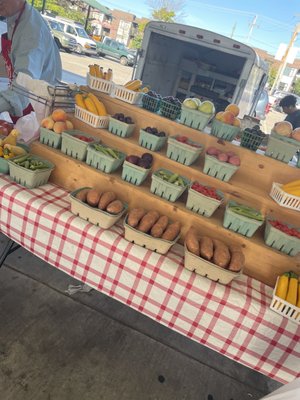 Memphis Farmers Market by null