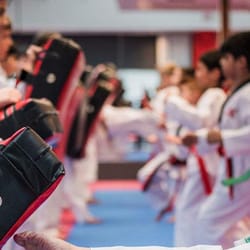 Pulse Taekwondo Academy