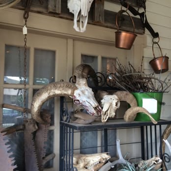 Cheshire Cat Antiques - More horns - Antiques Near Me - Alpine, Texas Cheshire Cat Antiques - More horns - Antiques Near Me - Alpine, Texas