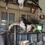 Photo of Cheshire Cat Antiques