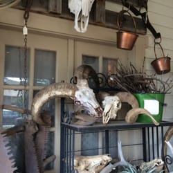 Cheshire Cat Antiques - More horns