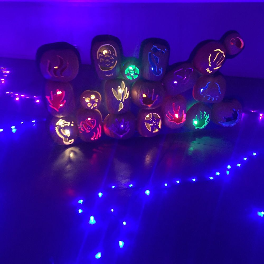 Pumpkin Nights - Festivals Near Me - Auburn, California