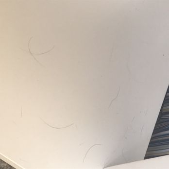 Resort Realty - More dog hair on the table when we arrive - Property Management Near Me - Nags Head, North Carolina