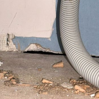 Wissinoming Pest Control - Pest Control Near Me Wissinoming Pest Control - Pest Control Near Me