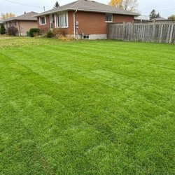 JSQ Gardens - Sod installation