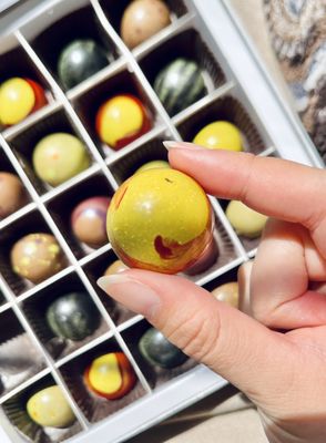 Dallmann Confections | Delicious Chocolate by null