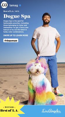 Dogue Spa - The Coolest Dog Grooming Salon by null