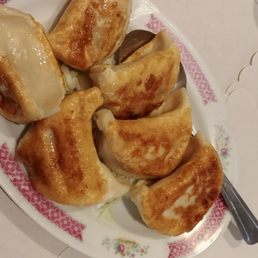 Fried Pot Stickers