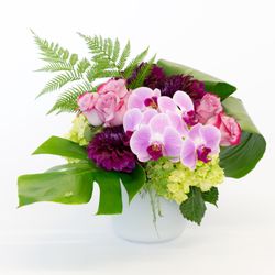 Allen's Flowers & Plants - La Mesa