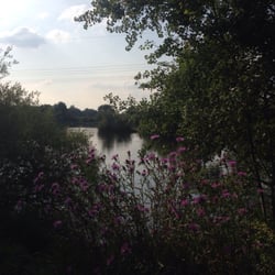 Böhmer Weiher