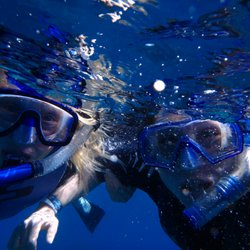Eco Adventures - Having fun snorkeling!
