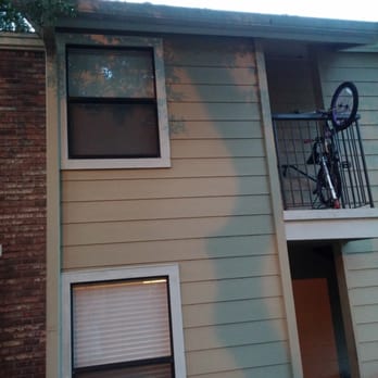 Pierpoint Apartments - Gutters full of rotting leaves, moss and sticks - Apartments Near Me - Port Orange, Florida Pierpoint Apartments - Gutters full of rotting leaves, moss and sticks - Apartments Near Me - Port Orange, Florida