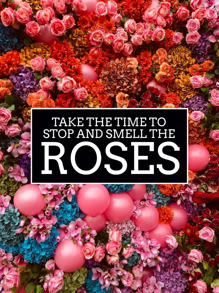 ASK ALICE CLEANING SERVICE 813 Kure Village Way, Kure Beach, North