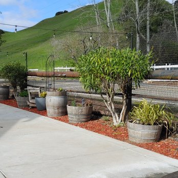 TwiningVine Winery - Wineries Near Me - Castro Valley, California