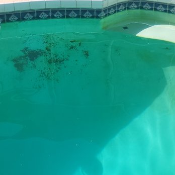 That Pool Girl - Pool & Hot Tub Service Near Me