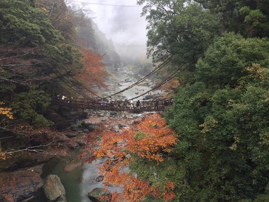 Iya Valley Bridge by null