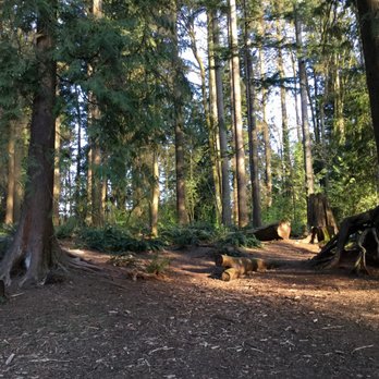 Simon Fraser Hills Park - Parks Near Me - Burnaby, British Columbia Simon Fraser Hills Park - Parks Near Me - Burnaby, British Columbia