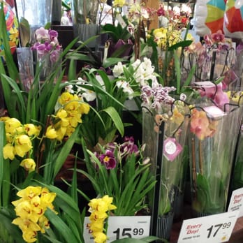 Vons - They always have orchids! No blue this time... :( - Grocery Near Me - San Diego, California