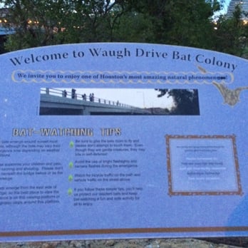 Waugh Drive Bat Colony - Local Flavor Near Me - Houston, Texas Waugh Drive Bat Colony - Local Flavor Near Me - Houston, Texas