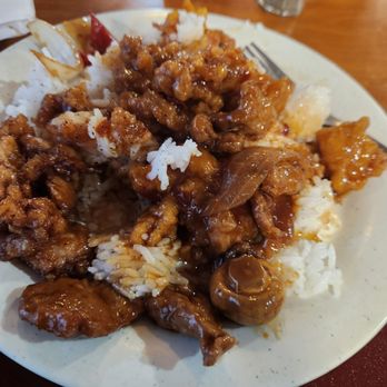 A+ Buffet & Mongolian Grill - Misc meats and rice - Chinese Near Me - Omaha, Nebraska