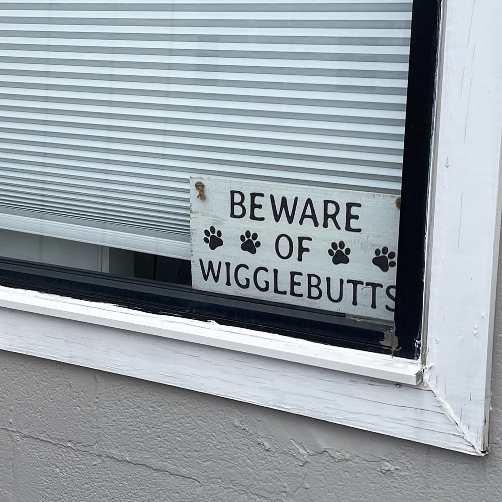 Pets R People 2 - Cute sign! - Pet Sitting Near Me - Knoxville, Tennessee Pets R People 2 - Cute sign! - Pet Sitting Near Me - Knoxville, Tennessee