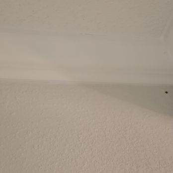 Hampton Inn & Suites Lanett-West Point - Ladybugs on the ceiling - Hotels Near Me - Lanett, Alabama Hampton Inn & Suites Lanett-West Point - Ladybugs on the ceiling - Hotels Near Me - Lanett, Alabama