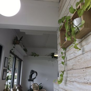 Salon RISE - So much pretty greenery! - Hair Stylists Near Me - Tacoma, Washington