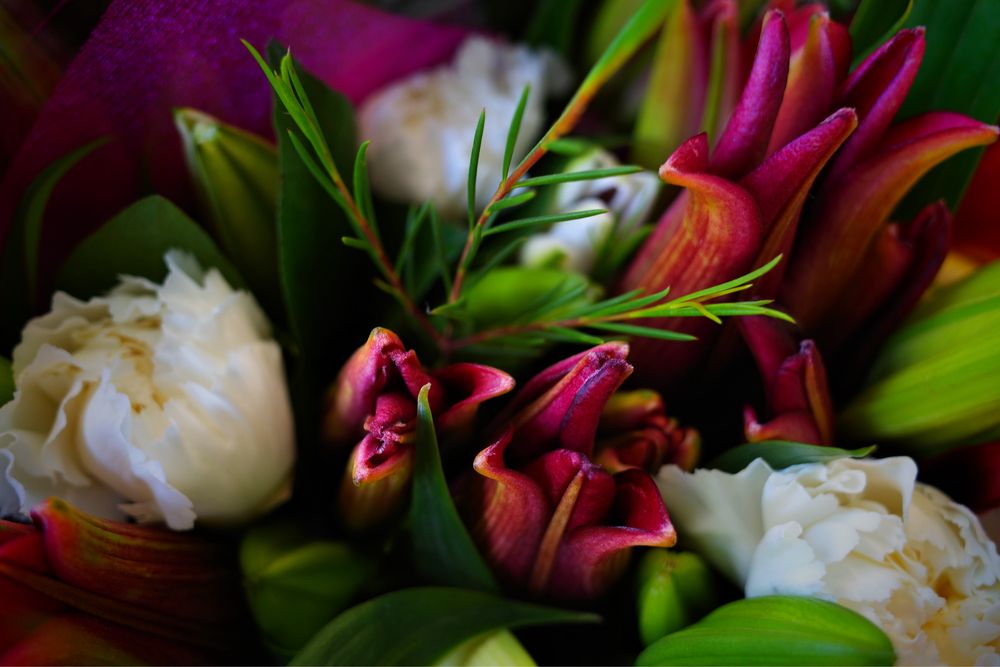 Hayashi Vegetable Stand