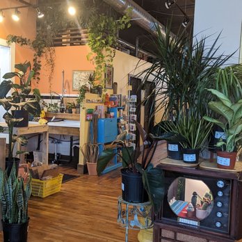 Bad Seed Coffee & Supply - More plants and cute decor! - Coffee & Tea Near Me - Omaha, Nebraska Bad Seed Coffee & Supply - More plants and cute decor! - Coffee & Tea Near Me - Omaha, Nebraska