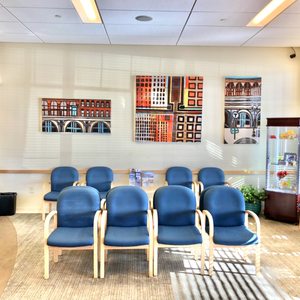 Lush North Suburban Eye Abstract Nature Lush North Suburban Eye Abstract Nature