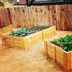 YardFarm - Raised veggie beds are great for alter-abled and elderly folks.