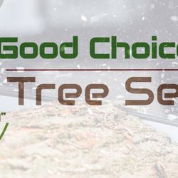 Good Choice Xpert Tree Service - GCX Tree Service Logo