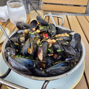 Saltine - Mussels - Seafood Near Me - Norfolk, Virginia