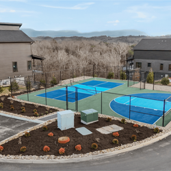 The Lodges at Reedmont - Community amenities! Pickleball and Basketball court.